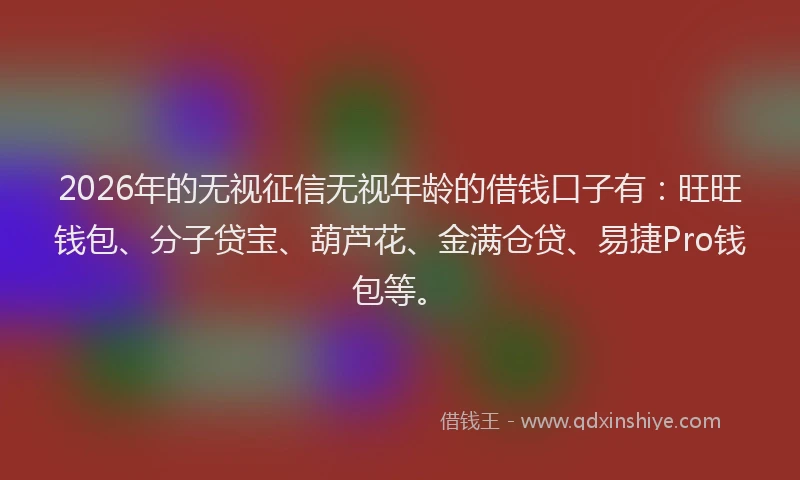 2026年的无视征信无视年龄的借钱口子有：旺旺钱包、分子贷宝、葫芦花、金满仓贷、易捷Pro钱包等。