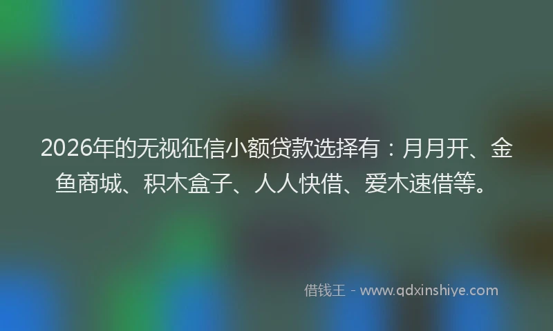 2026年的无视征信小额贷款选择有：月月开、金鱼商城、积木盒子、人人快借、爱木速借等。