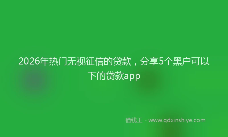 2026年热门无视征信的贷款,分享5个黑户可以下的贷款app