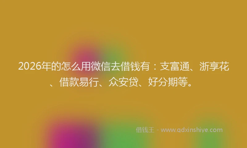 2026年的怎么用微信去借钱有：支富通、浙享花、借款易行、众安贷、好分期等。