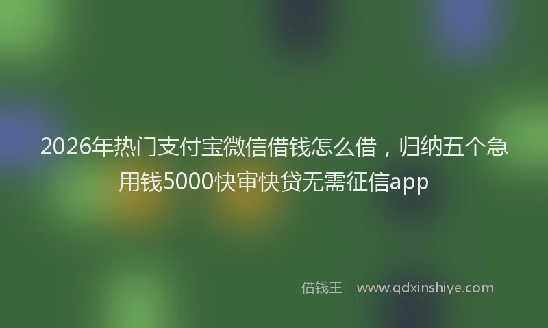 2026年热门支付宝微信借钱怎么借，归纳五个急用钱5000快审快贷无需征信app