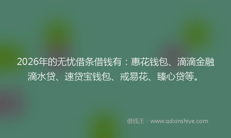2026年的无忧借条借钱有:惠花钱包、滴滴金融滴水贷、速贷宝钱包、戒易花、臻心贷等。