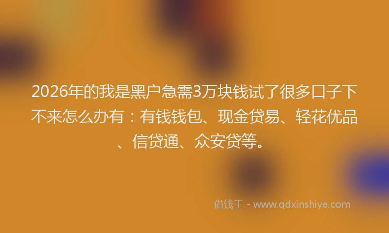 2026年的我是黑户急需3万块钱试了很多口子下不来怎么办有：有钱钱包、现金贷易、轻花优品、信贷通、众安贷等。