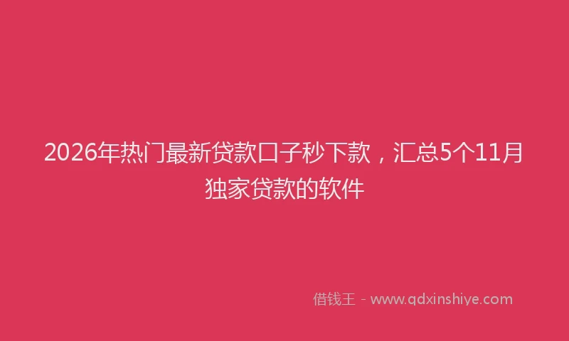 2026年热门最新贷款口子秒下款，汇总5个11月独家贷款的软件