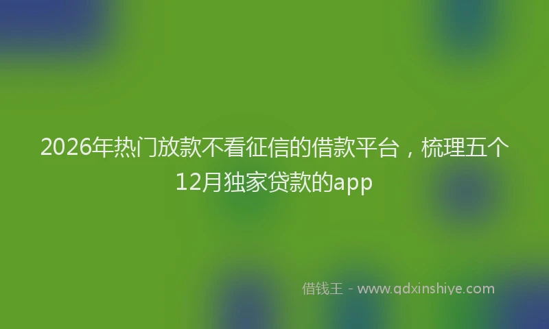 2026年热门放款不看征信的借款平台，梳理五个12月独家贷款的app