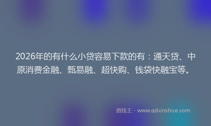 2026年的有什么小贷容易下款的有：通天贷、中原消费金融、甄易融、超快购、钱袋快融宝等。
