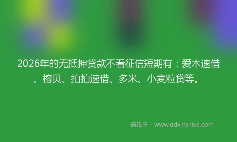 2026年的无抵押贷款不看征信短期有:爱木速借、榕贝、拍拍速借、多米、小麦粒贷等。