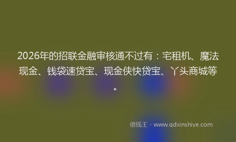 2026年的招联金融审核通不过有：宅租机、魔法现金、钱袋速贷宝、现金侠快贷宝、丫头商城等。
