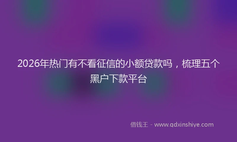 2026年热门有不看征信的小额贷款吗，梳理五个黑户下款平台