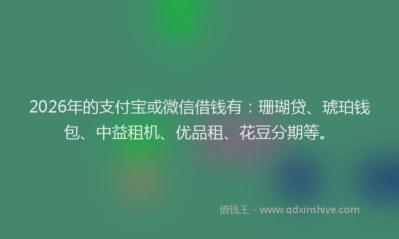2026年的支付宝或微信借钱有:珊瑚贷、琥珀钱包、中益租机、优品租、花豆分期等。