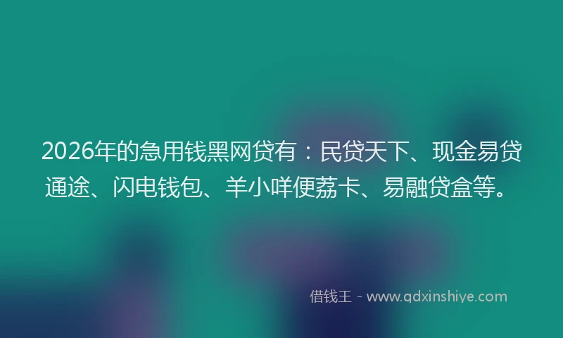 2026年的急用钱黑网贷有:民贷天下、现金易贷通途、闪电钱包、羊小咩便荔卡、易融贷盒等。