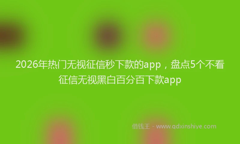 2026年热门无视征信秒下款的app，盘点5个不看征信无视黑白百分百下款app