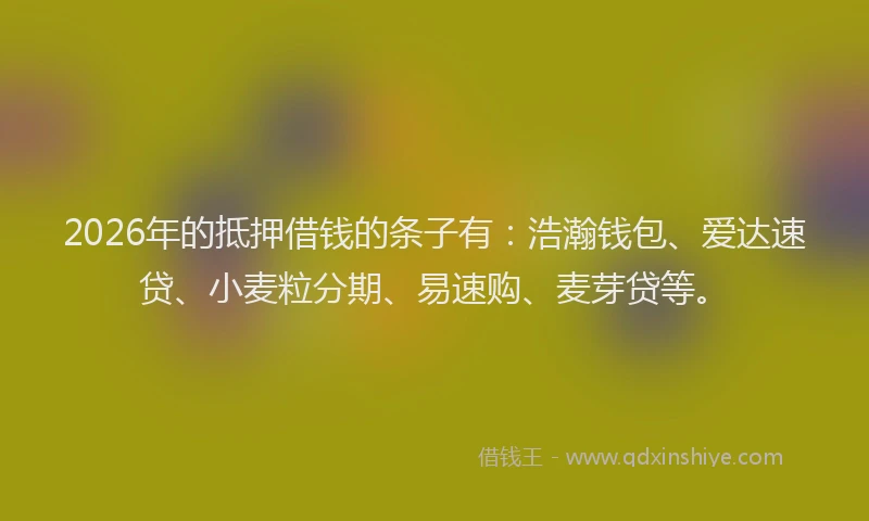 2026年的抵押借钱的条子有：浩瀚钱包、爱达速贷、小麦粒分期、易速购、麦芽贷等。