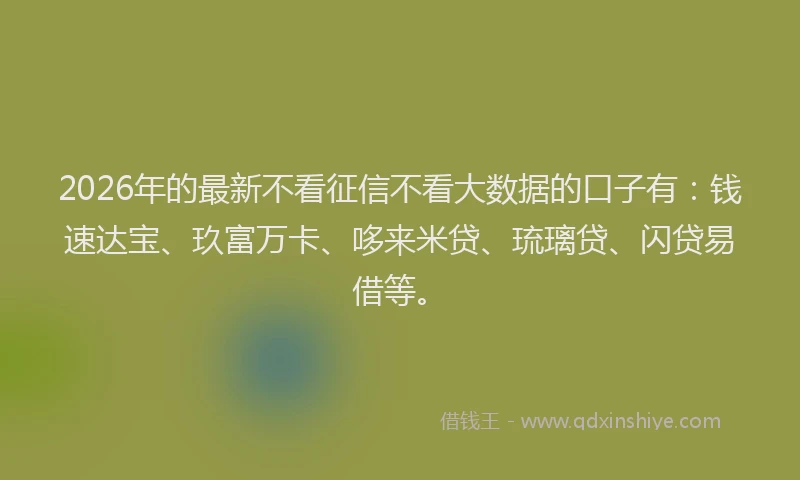 2026年的最新不看征信不看大数据的口子有：钱速达宝、玖富万卡、哆来米贷、琉璃贷、闪贷易借等。