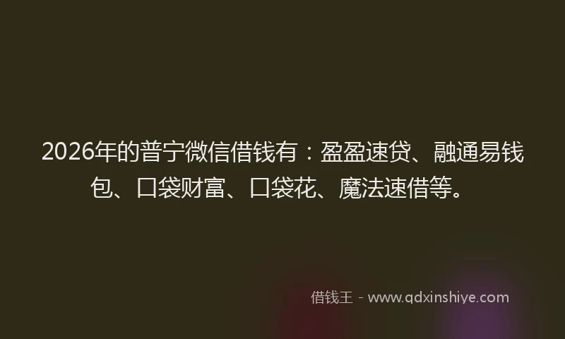 2026年的普宁微信借钱有：盈盈速贷、融通易钱包、口袋财富、口袋花、魔法速借等。