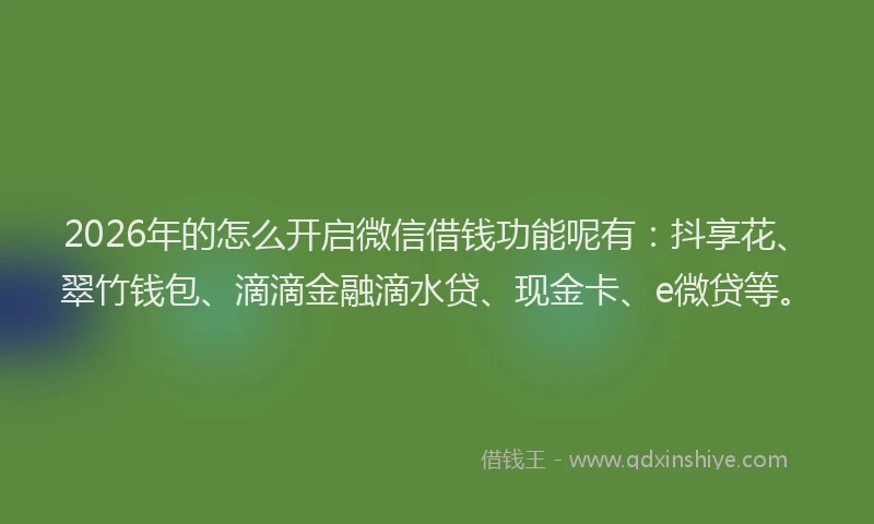 2026年的怎么开启微信借钱功能呢有:抖享花、翠竹钱包、滴滴金融滴水贷、现金卡、e微贷等。
