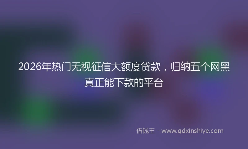 2026年热门无视征信大额度贷款，归纳五个网黑真正能下款的平台