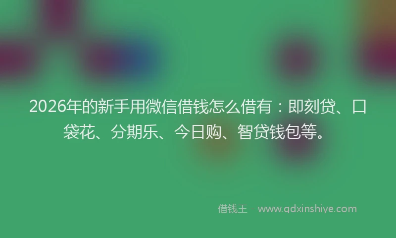 2026年的新手用微信借钱怎么借有：即刻贷、口袋花、分期乐、今日购、智贷钱包等。
