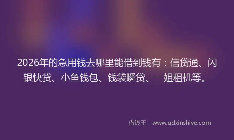 2026年的急用钱去哪里能借到钱有:信贷通、闪银快贷、小鱼钱包、钱袋瞬贷、一姐租机等。