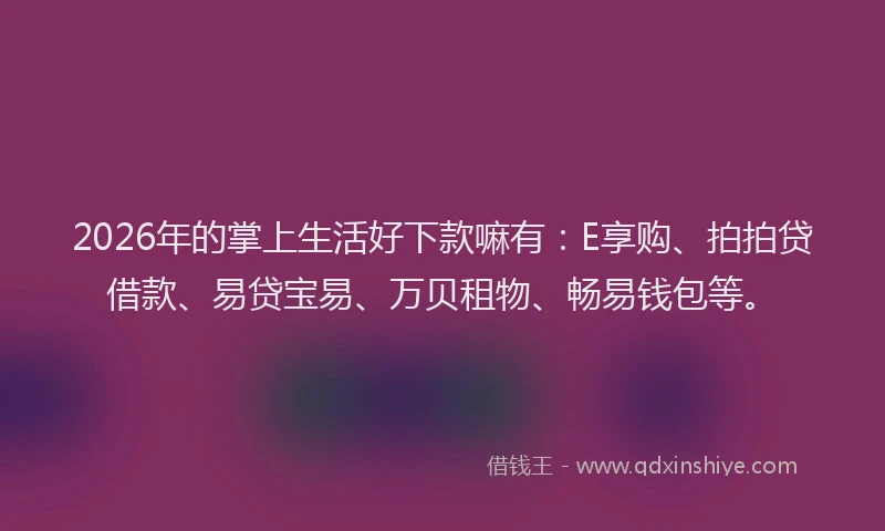 2026年的掌上生活好下款嘛有：E享购、拍拍贷借款、易贷宝易、万贝租物、畅易钱包等。