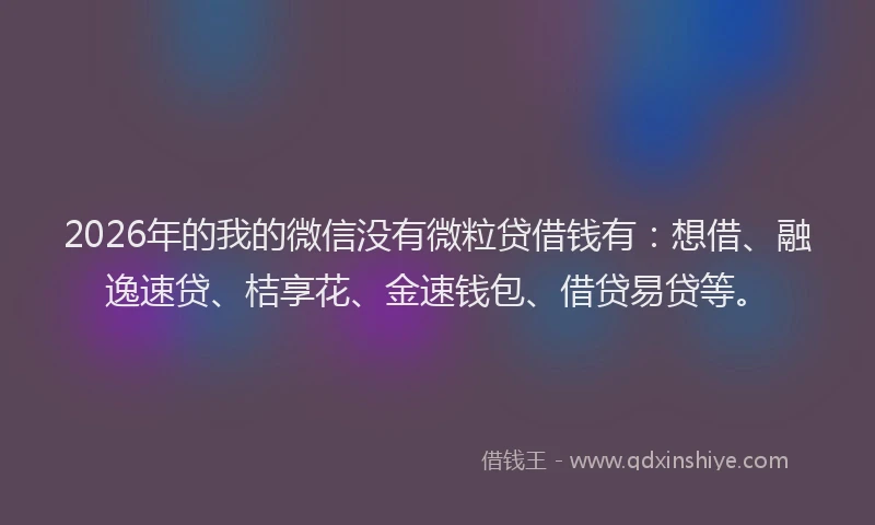 2026年的我的微信没有微粒贷借钱有：想借、融逸速贷、桔享花、金速钱包、借贷易贷等。