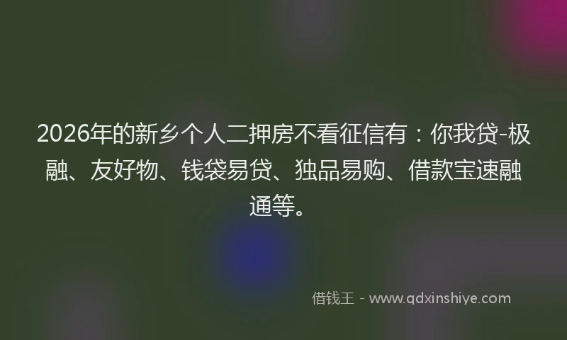 2026年的新乡个人二押房不看征信有：你我贷-极融、友好物、钱袋易贷、独品易购、借款宝速融通等。