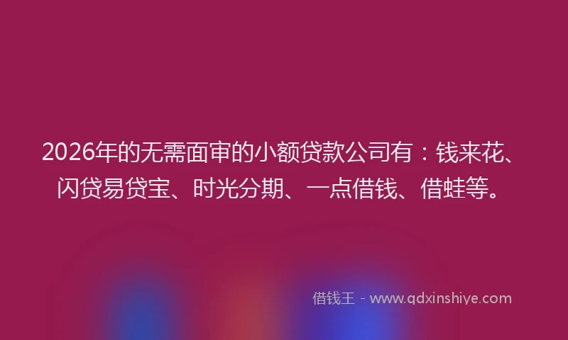 2026年的无需面审的小额贷款公司有：钱来花、闪贷易贷宝、时光分期、一点借钱、借蛙等。