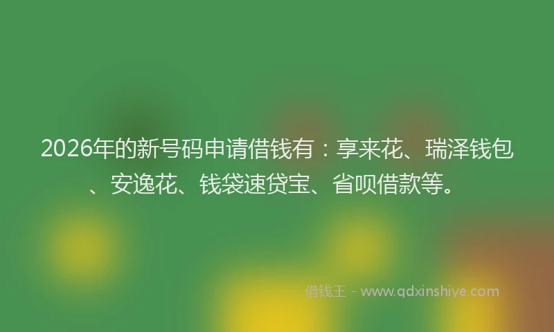 2026年的新号码申请借钱有：享来花、瑞泽钱包、安逸花、钱袋速贷宝、省呗借款等。