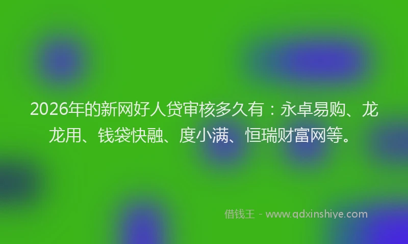2026年的新网好人贷审核多久有：永卓易购、龙龙用、钱袋快融、度小满、恒瑞财富网等。