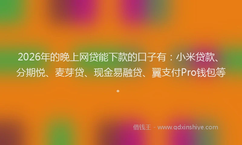 2026年的晚上网贷能下款的口子有：小米贷款、分期悦、麦芽贷、现金易融贷、翼支付Pro钱包等。