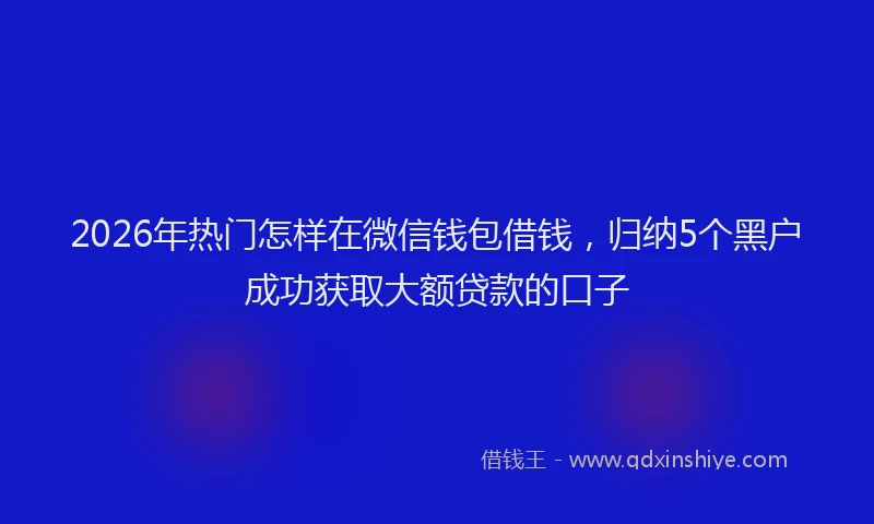 2026年热门怎样在微信钱包借钱，归纳5个黑户成功获取大额贷款的口子