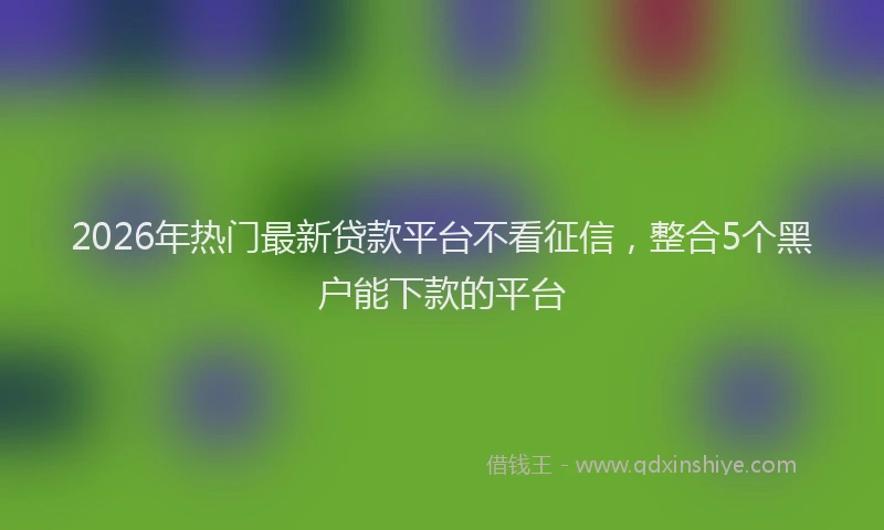 2026年热门最新贷款平台不看征信，整合5个黑户能下款的平台