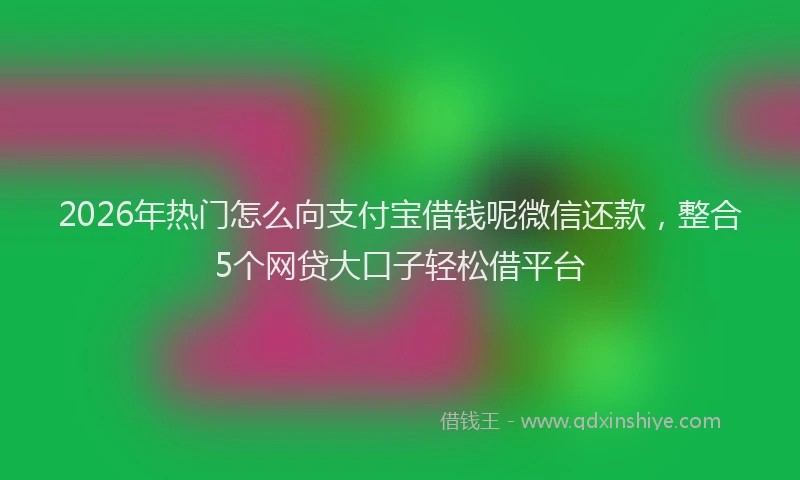 2026年热门怎么向支付宝借钱呢微信还款，整合5个网贷大口子轻松借平台