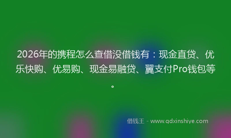 2026年的携程怎么查借没借钱有：现金直贷、优乐快购、优易购、现金易融贷、翼支付Pro钱包等。