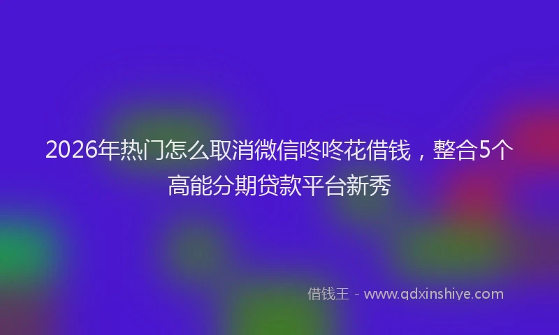 2026年热门怎么取消微信咚咚花借钱,整合5个高能分期贷款平台新秀
