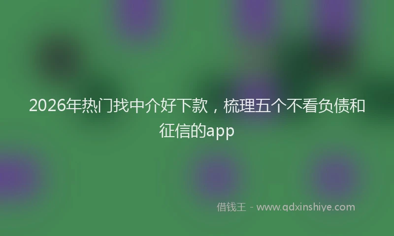 2026年热门找中介好下款，梳理五个不看负债和征信的app