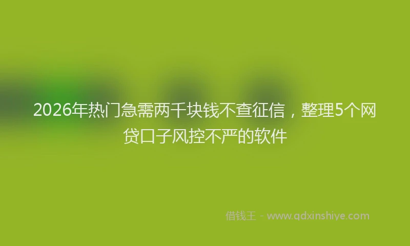 2026年热门急需两千块钱不查征信，整理5个网贷口子风控不严的软件