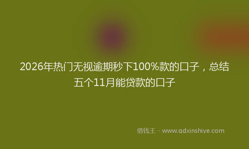 2026年热门无视逾期秒下100%款的口子，总结五个11月能贷款的口子