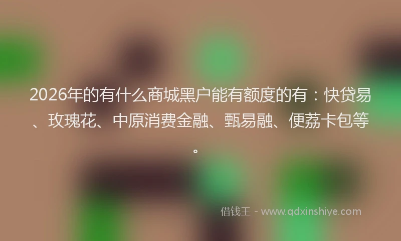 2026年的有什么商城黑户能有额度的有:快贷易、玫瑰花、中原消费金融、甄易融、便荔卡包等。