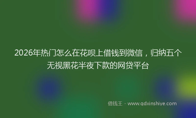 2026年热门怎么在花呗上借钱到微信，归纳五个无视黑花半夜下款的网贷平台