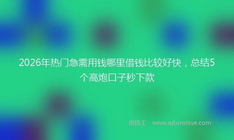 2026年热门急需用钱哪里借钱比较好快，总结5个高炮口子秒下款