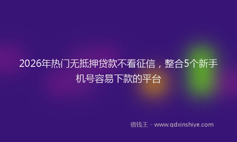 2026年热门无抵押贷款不看征信，整合5个新手机号容易下款的平台