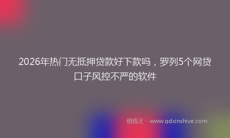 2026年热门无抵押贷款好下款吗，罗列5个网贷口子风控不严的软件