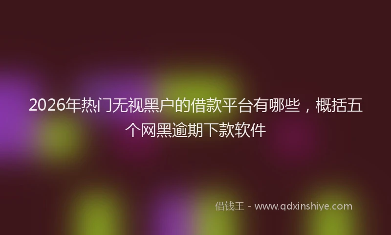 2026年热门无视黑户的借款平台有哪些，概括五个网黑逾期下款软件
