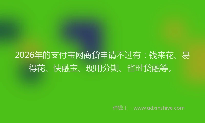 2026年的支付宝网商贷申请不过有：钱来花、易得花、快融宝、现用分期、省时贷融等。