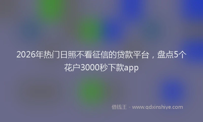 2026年热门日照不看征信的贷款平台，盘点5个花户3000秒下款app