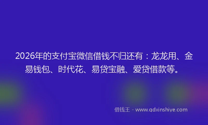 2026年的支付宝微信借钱不归还有:龙龙用、金易钱包、时代花、易贷宝融、爱贷借款等。