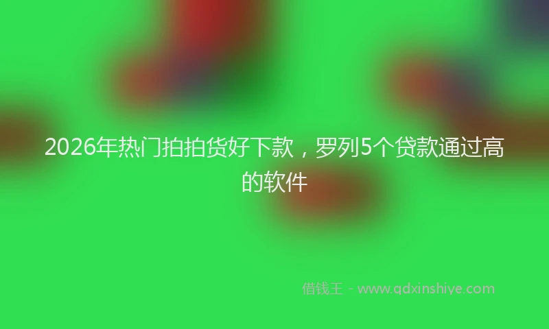2026年热门拍拍货好下款，罗列5个贷款通过高的软件