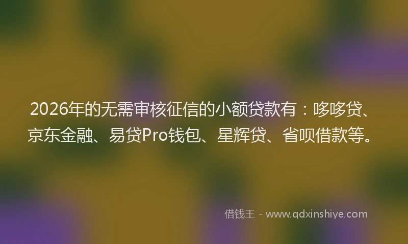 2026年的无需审核征信的小额贷款有：哆哆贷、京东金融、易贷Pro钱包、星辉贷、省呗借款等。