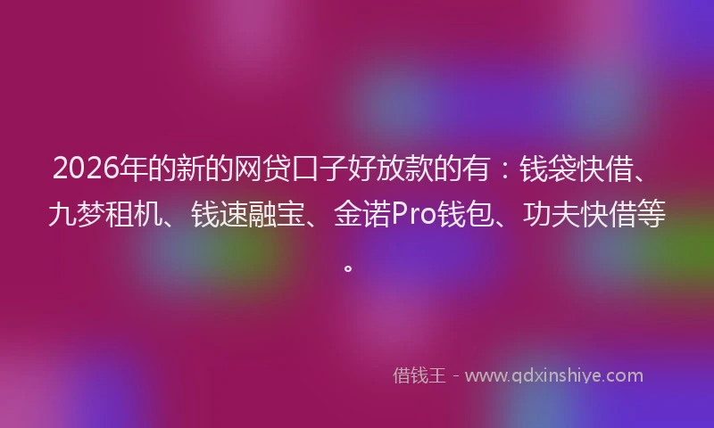 2026年的新的网贷口子好放款的有:钱袋快借、九梦租机、钱速融宝、金诺Pro钱包、功夫快借等。